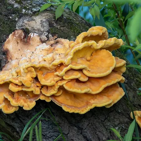 아파트 Golden Eye Seaside Park