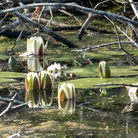 아파트 Golden Eye Seaside Park *