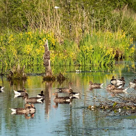 아파트 Golden Eye Seaside Park 코워브제크