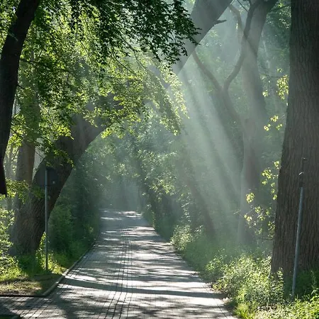 Golden Eye Seaside Park 아파트 코워브제크