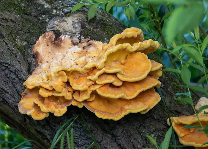 Apartment Golden Eye Seaside Park