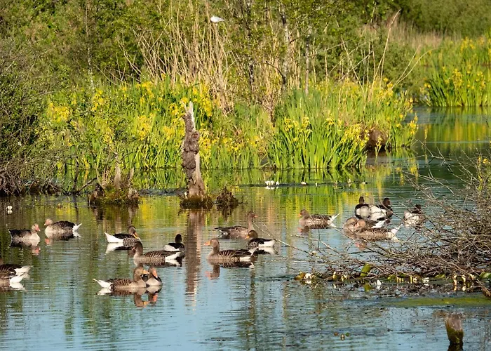 Apartment Golden Eye Seaside Park Kolberg