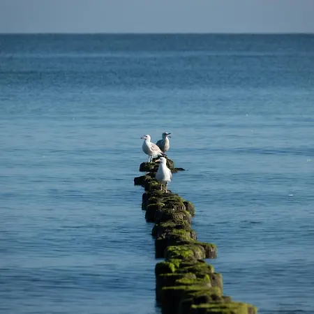 Golden Eye Seaside Park