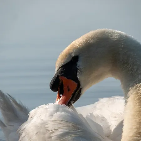Golden Eye Seaside Park * Kolberg