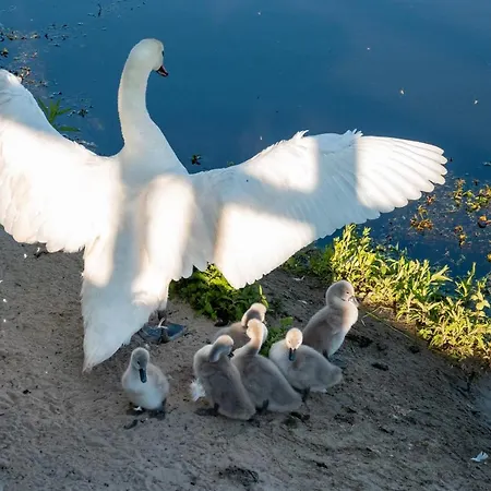 Apartamento Golden Eye Seaside Park *