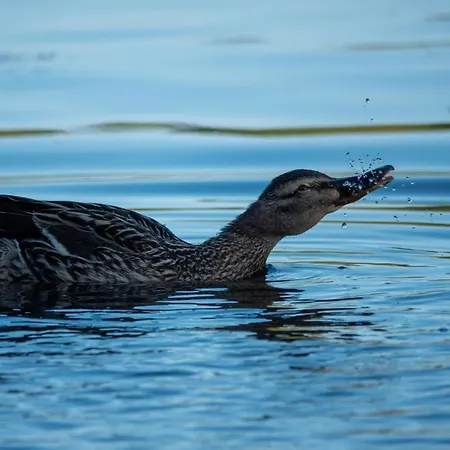 Golden Eye Seaside Park Kolberg