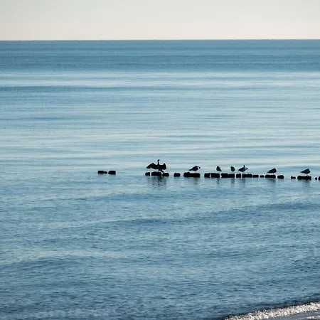 Golden Eye Seaside Park *