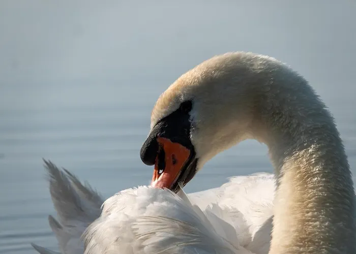 Golden Eye Seaside Park * Kolobřeh