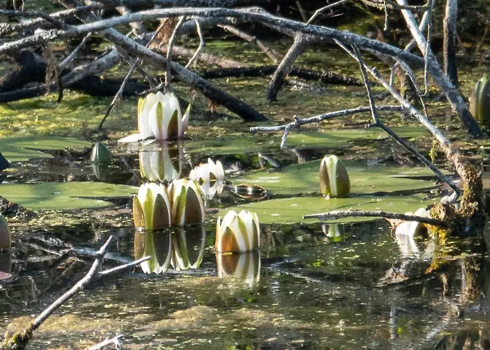 Apartmán Golden Eye Seaside Park *