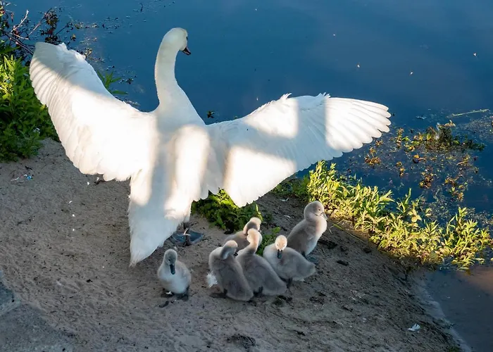 Apartmán Golden Eye Seaside Park *