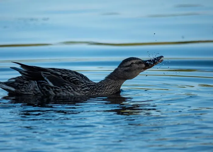 Golden Eye Seaside Park Kolobřeh