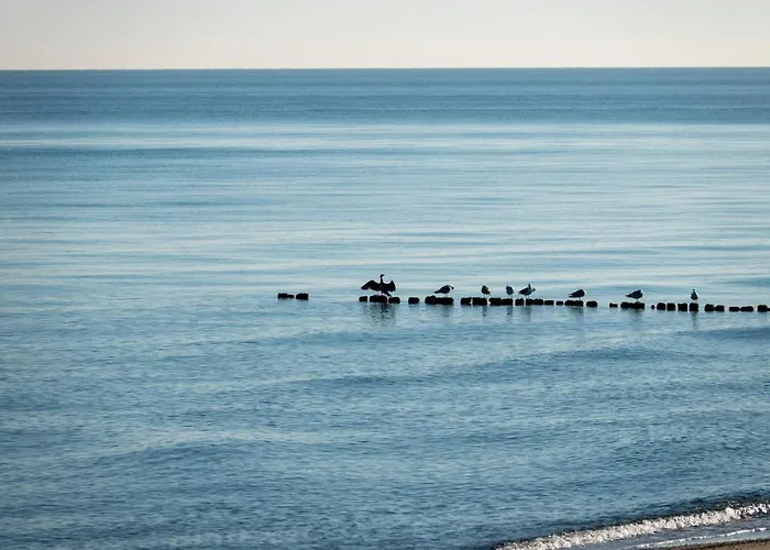 Golden Eye Seaside Park *